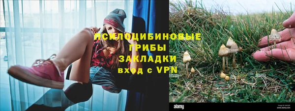 стафф Абдулино