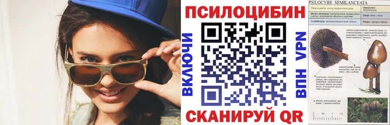 Псилоцибиновые грибы Psilocybine cubensis  hydra маркетплейс  Чердынь  купить  цена 